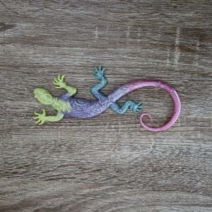 Salamandre multicolore