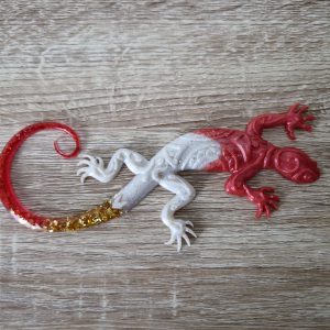 Salamandre rouge et blanche