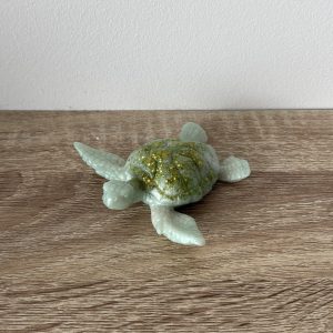 Petite tortue vert clair