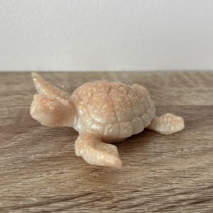 Petite tortue rose saumon