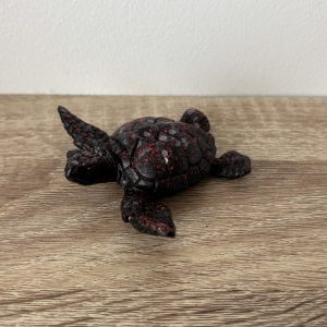 Petite tortue noire et rouge