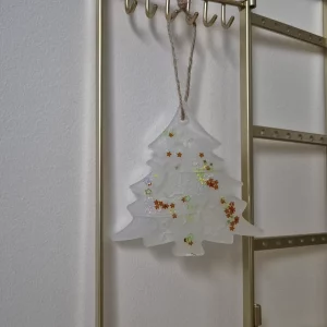 Sapin blanc étoilé